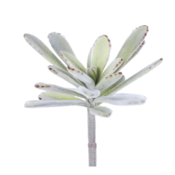 Plante artificielle SUCCULENT