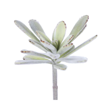 Plante artificielle SUCCULENT