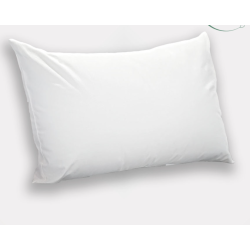 Oreiller moelleux GENERATION 60 X 60