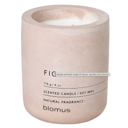 Bougie FIG petit modèle