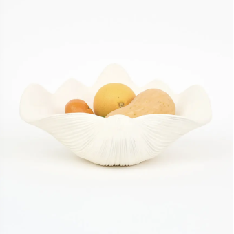 Coupe Coquillage