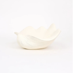 Coupe Coquillage
