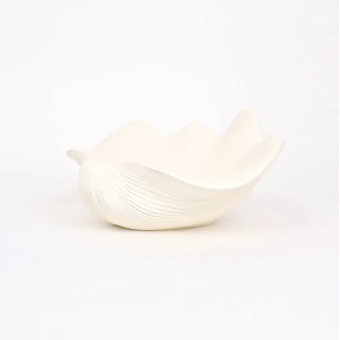 Coupe Coquillage