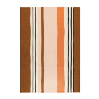 Tapis d'extérieur GUETHARY 160 x 230 cm