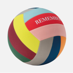 Ballon de volley-ball