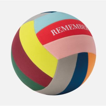 Ballon de volley-ball