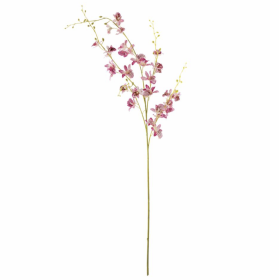 Tige d'orchidée