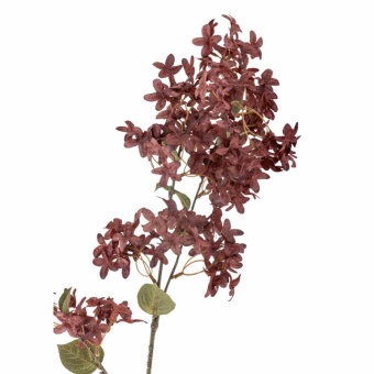 Tige de MYRTE rouge