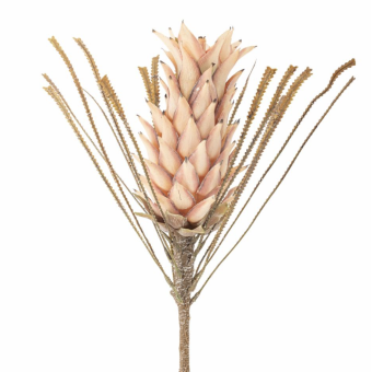 Tige de FLEUR DE PALMIER