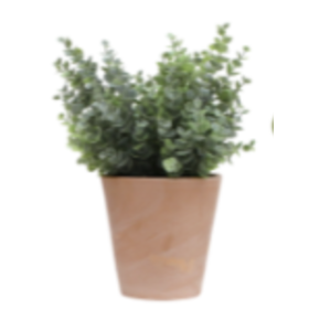 Pots végétalisés