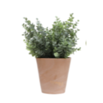 Pots végétalisés