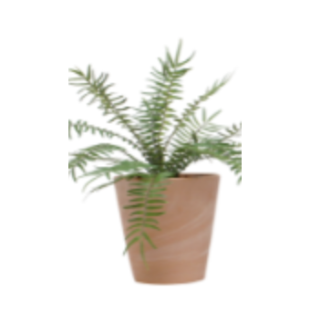 Pots végétalisés