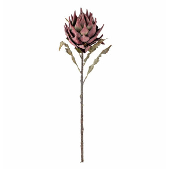 Tige de PROTEA