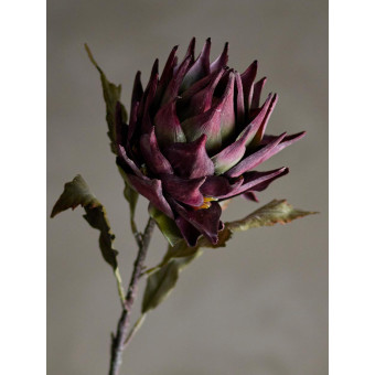 Tige de PROTEA