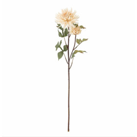 Tige de CHRYSANTHÈME Tige de CHRYSANTHÈME