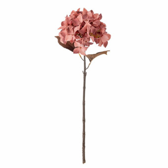 Tige d’HORTENSIA rose