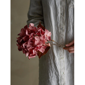 Tige d’HORTENSIA rose