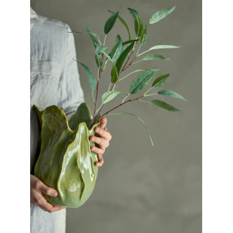 Tige simple de feuilles d’EUCALYPTUS verte