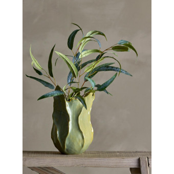 Tige multiple de feuilles d’EUCALYPTUS verte