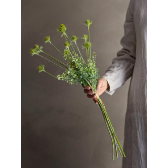 Wildflowers Tige verte