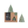 Bougies Sapin vert
