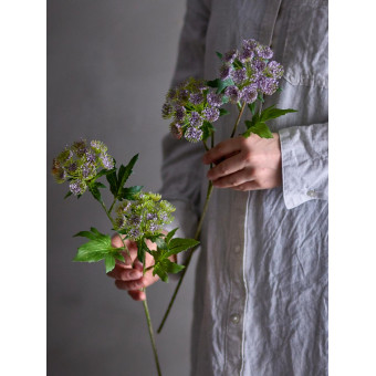 Throatwort Tige Violet Fleurs artificielles