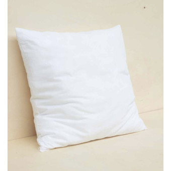 Oreiller de garnissage 50 x 50 cm