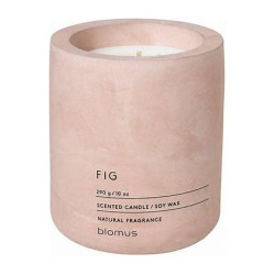 Bougie FIG grand modèle