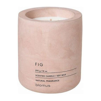 Bougie FIG grand modèle